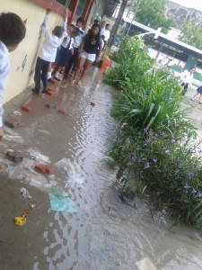 ^B5A7A15562E42EB1615A9AA8C960593D818F1D0C8B793B19C6^pimgpsh_fullsize_distr